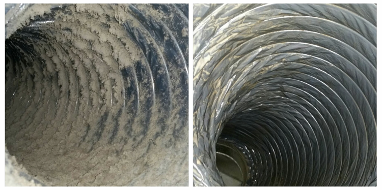 Top 5 Reasons to Choose a Professional Duct Cleaning Service in Tampa 1 Top 5 Reasons to Choose a Professional Duct Cleaning Service in Tampa